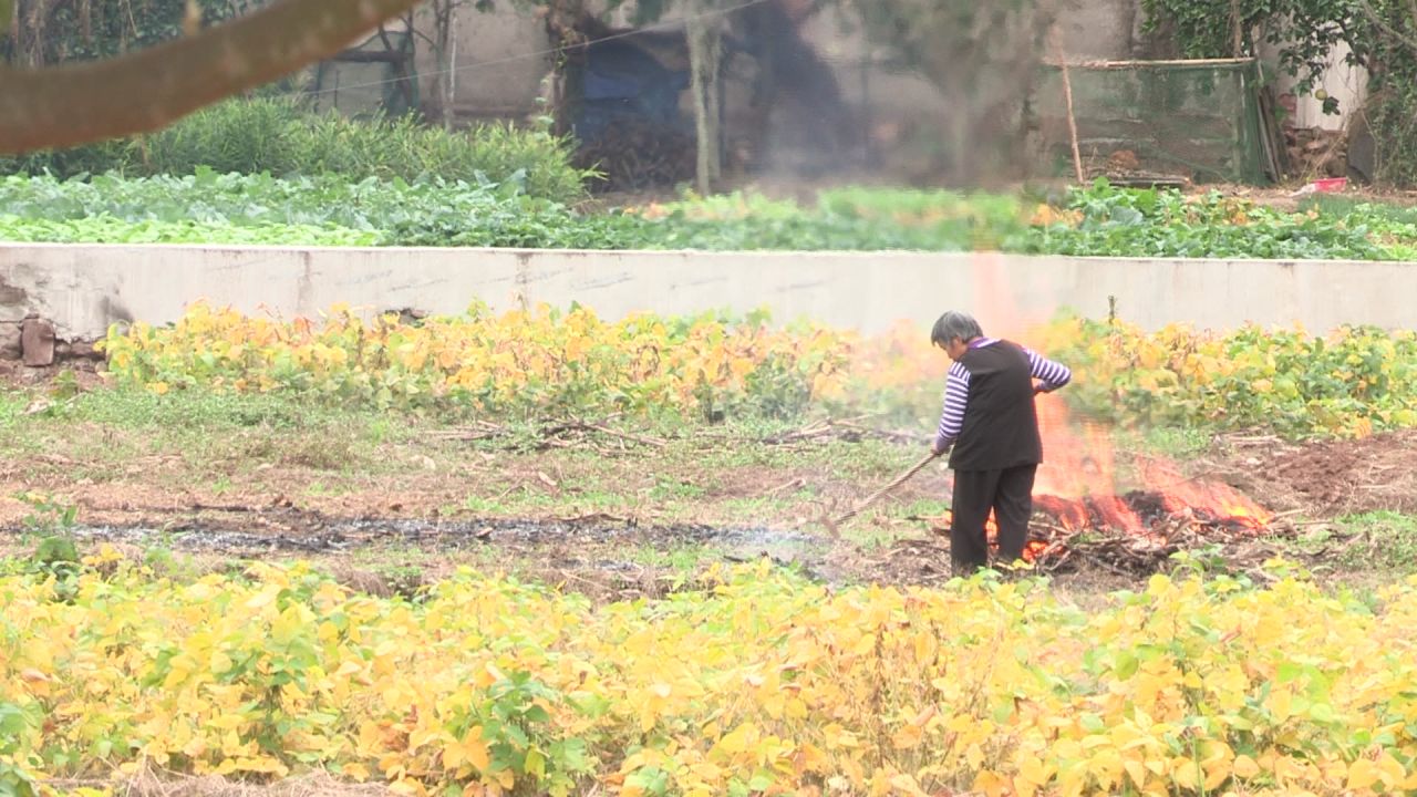 农村田地 下地干活一组