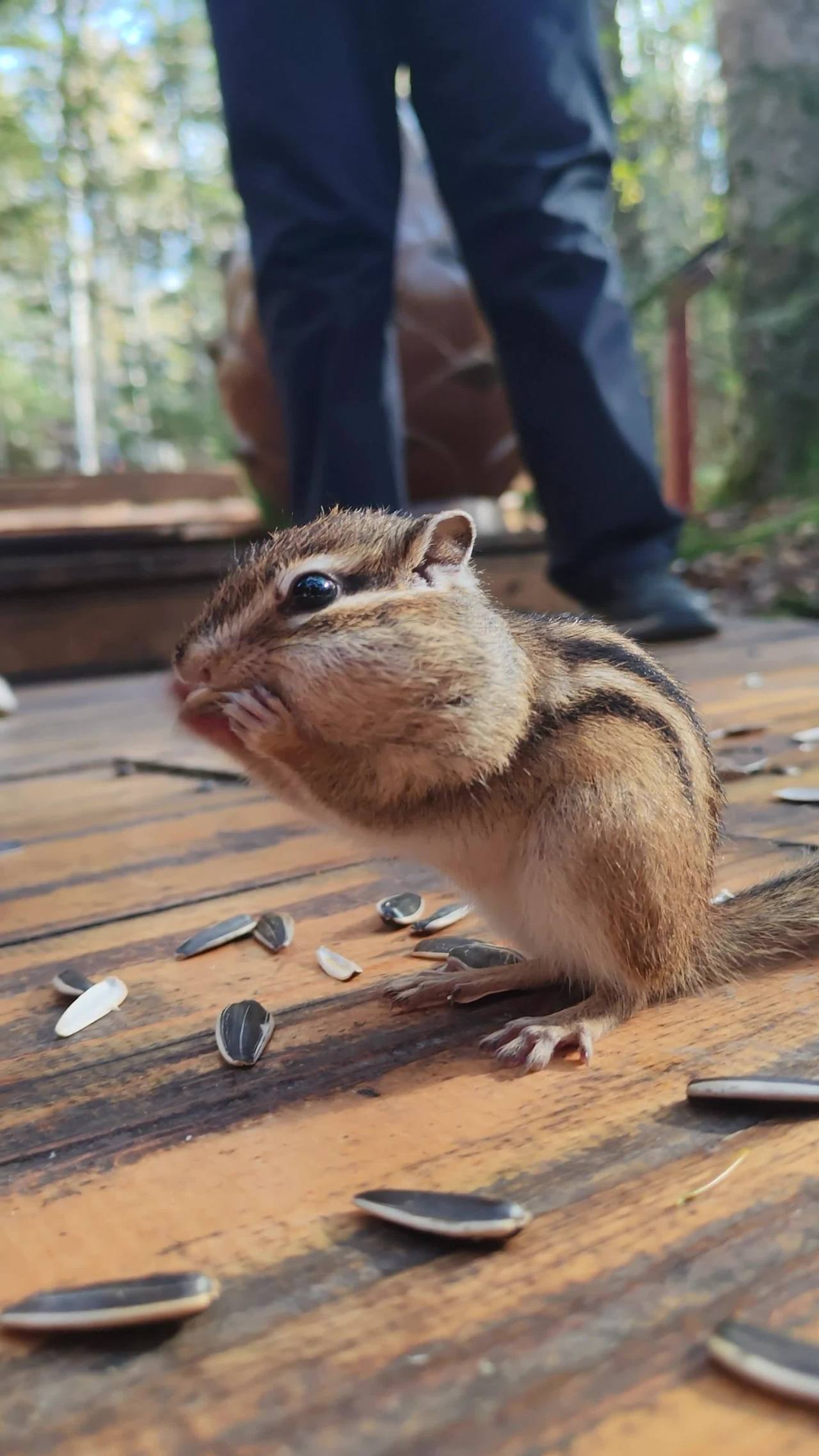 lv_0_20251005084800 1