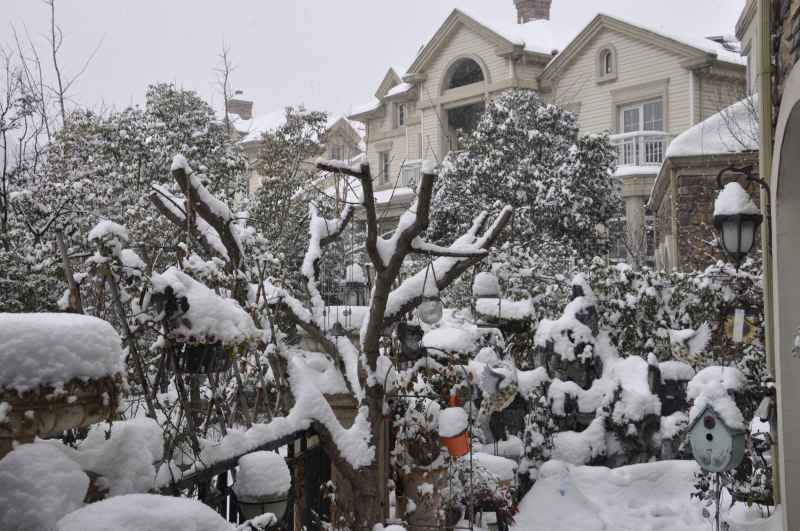 雪