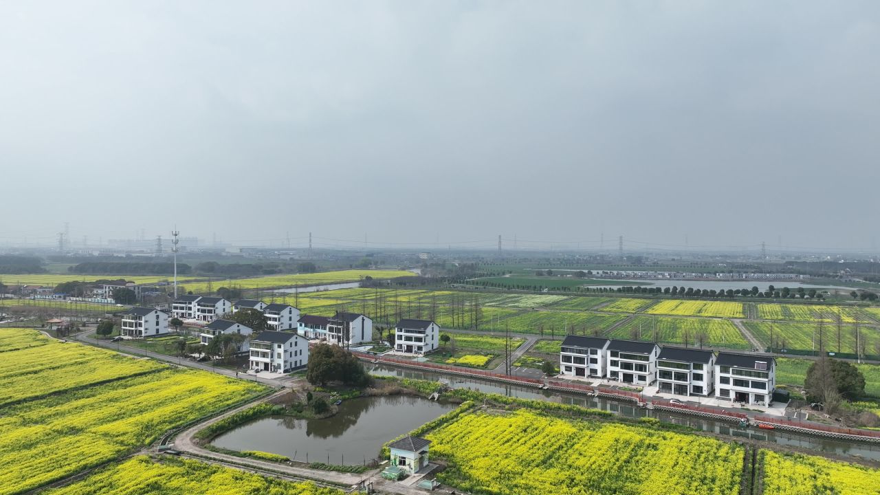 油菜花季 7