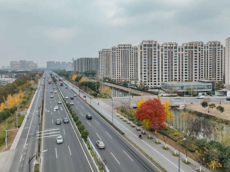 昆山道路上的秋冬景色 5
