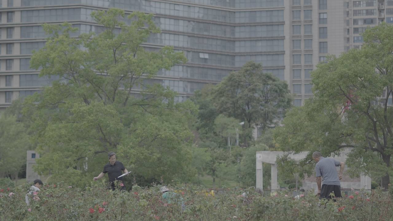 【实拍样片】索尼A6700-4K相机实拍原片视频 14