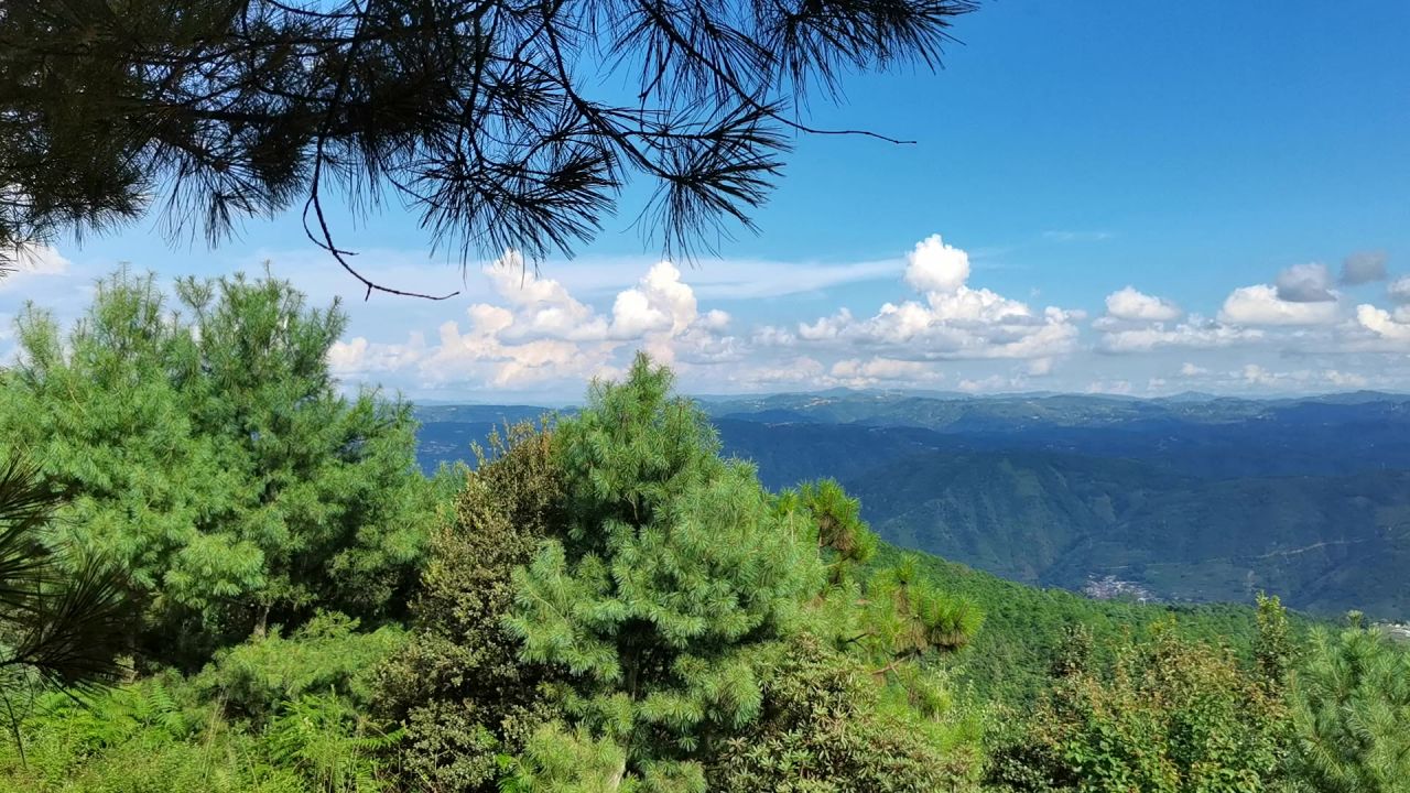 大山里
