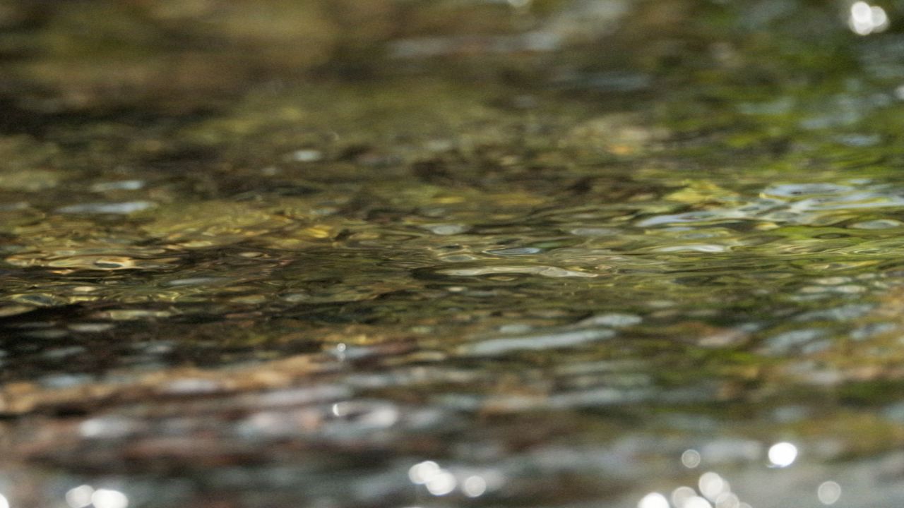 泉水小溪瀑布4K实拍镜头