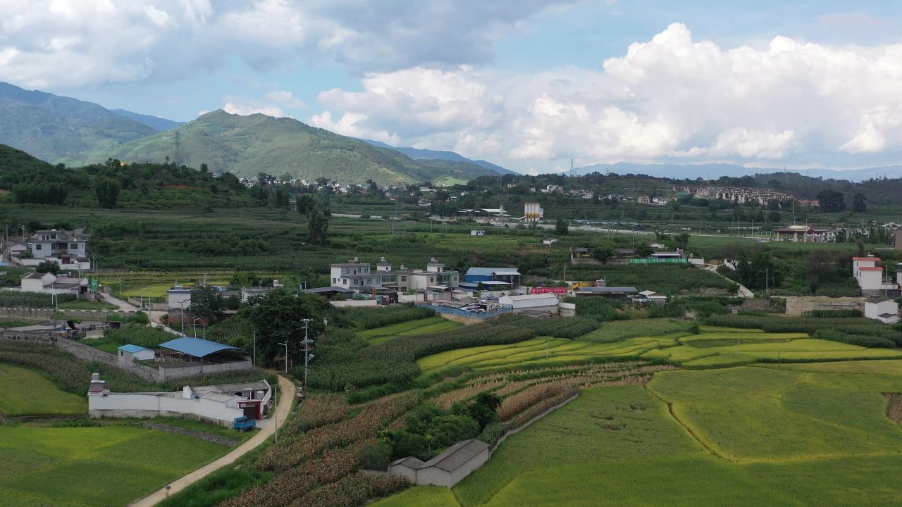 城市、稻田 2
