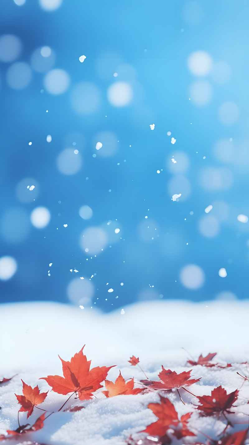 枫叶雪景冬季 13