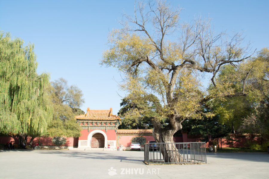 沈阳清昭陵
