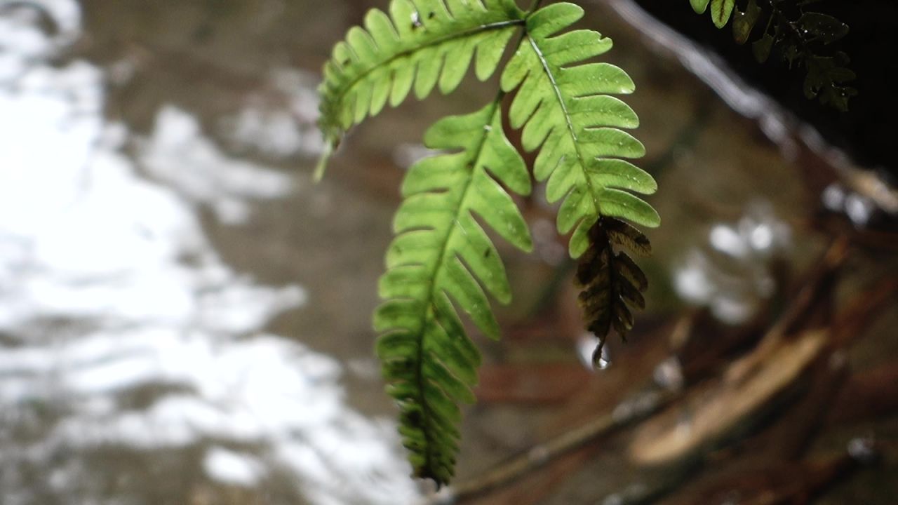 下雨天2