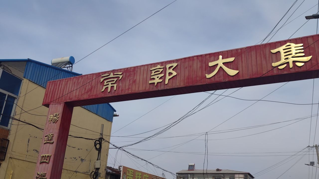 春节 乡村大集 22