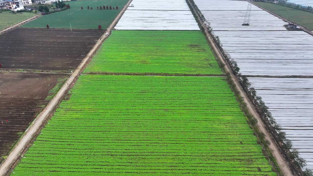 4k航拍坝区农业  地膜保温