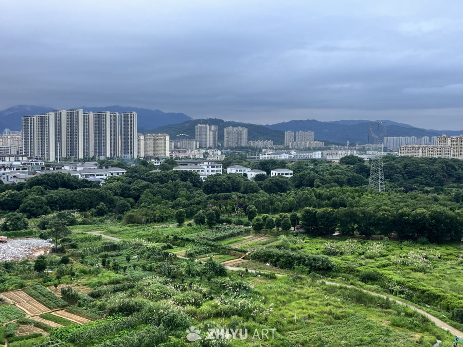 城市边缘的绿洲