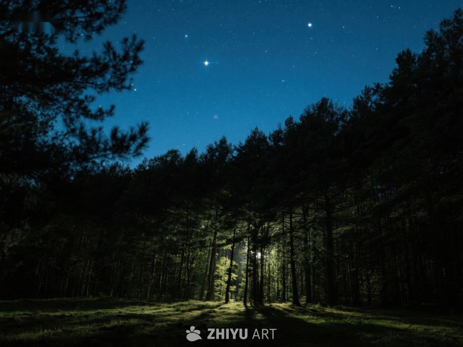 夜空下的森林，星光与灯光交织 355