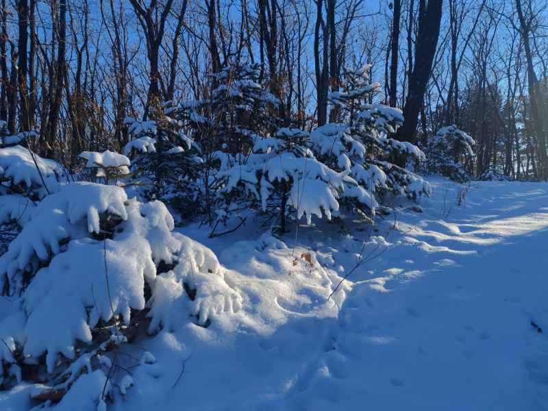 雪景 雪天 初雪 冬天 冬季 落雪