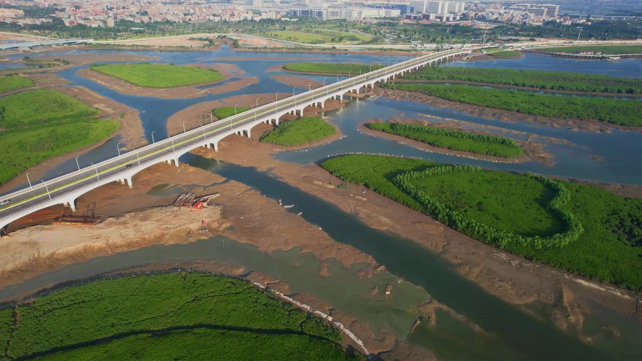 厦门航拍下潭尾湿地公园