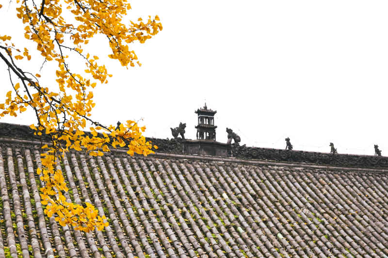 秋的最后一行🍂 8