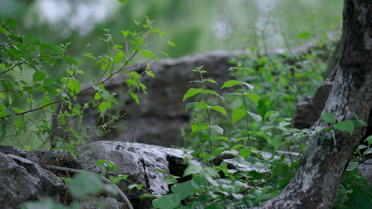 下雨情绪意境空境