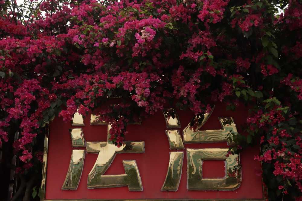 法治
