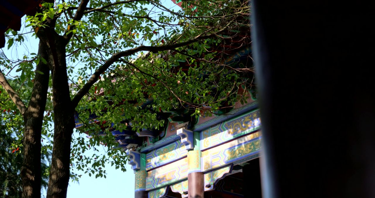 湖南长沙松柏寺古典建筑之美实拍视频