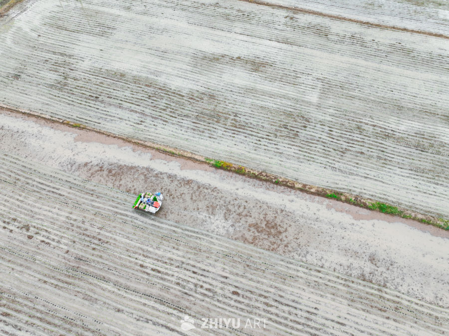 夏种农忙时节 44