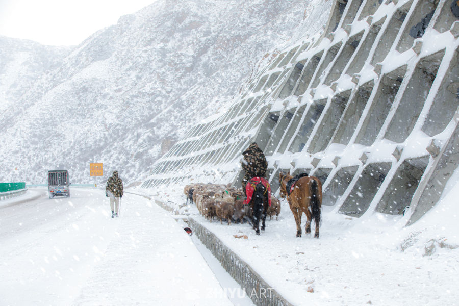 雪中赶羊