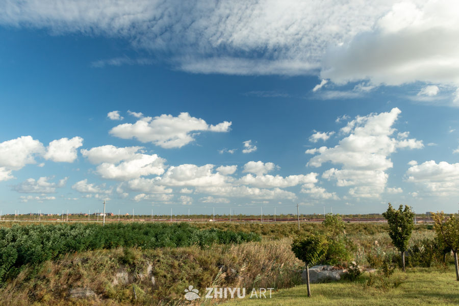 蓝天白云下的宁静田野