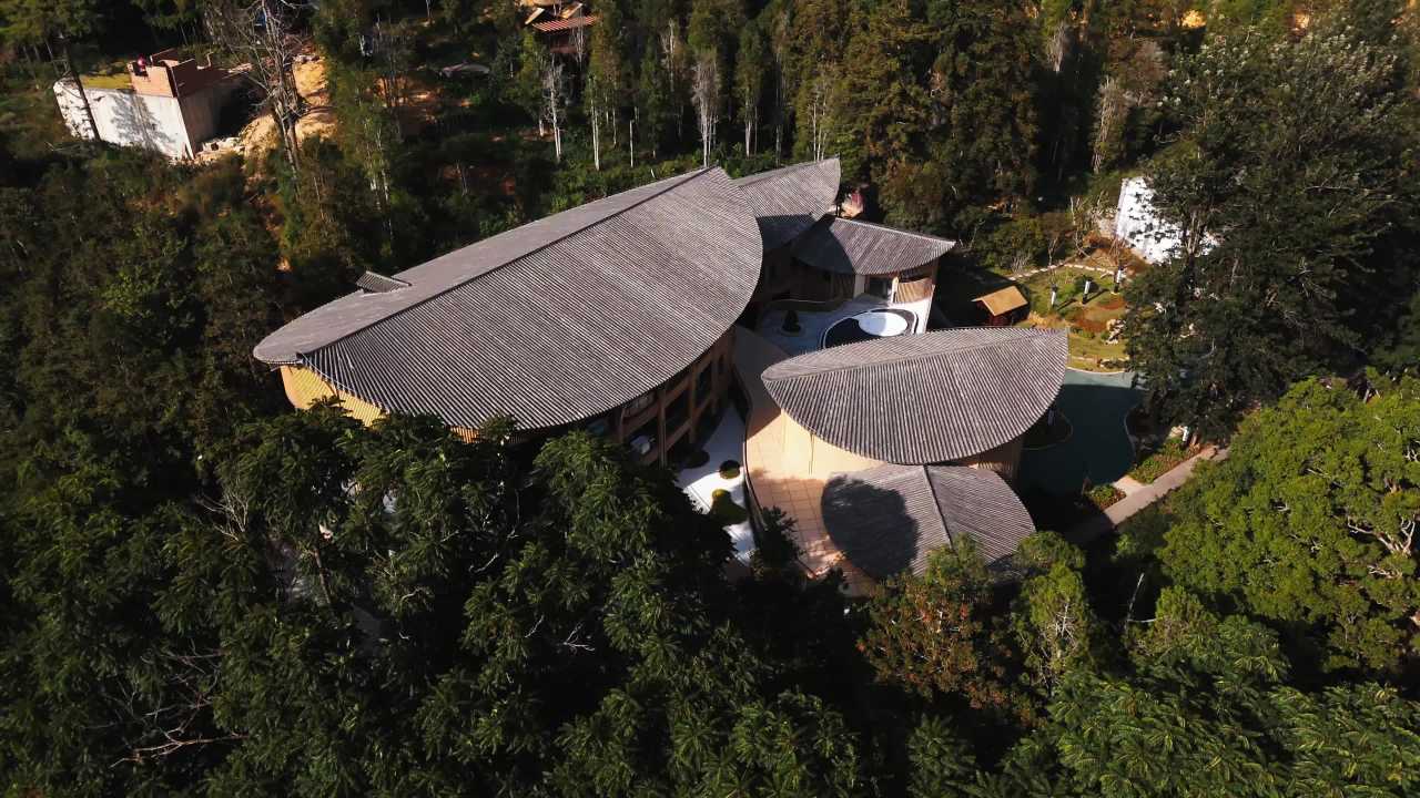 森林中的现代建筑