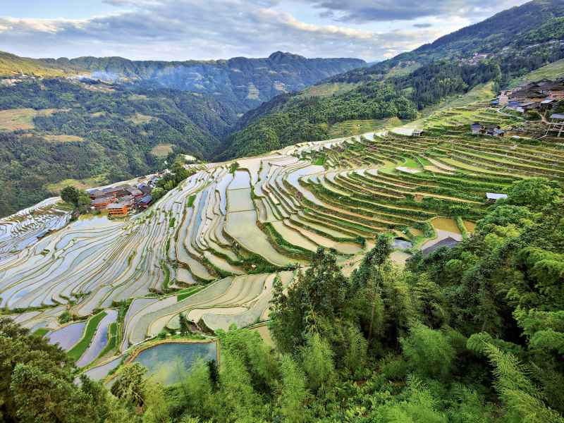 贵州加榜梯田 1