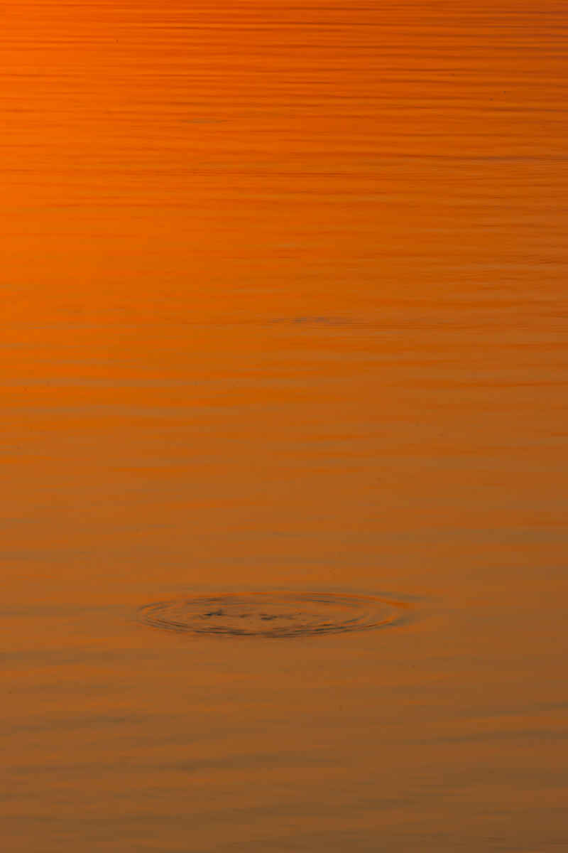 夕阳 9