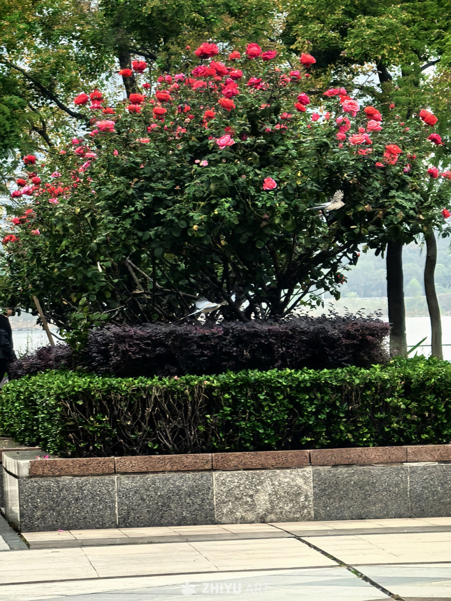 水静万佛湖，风微湖岸幽