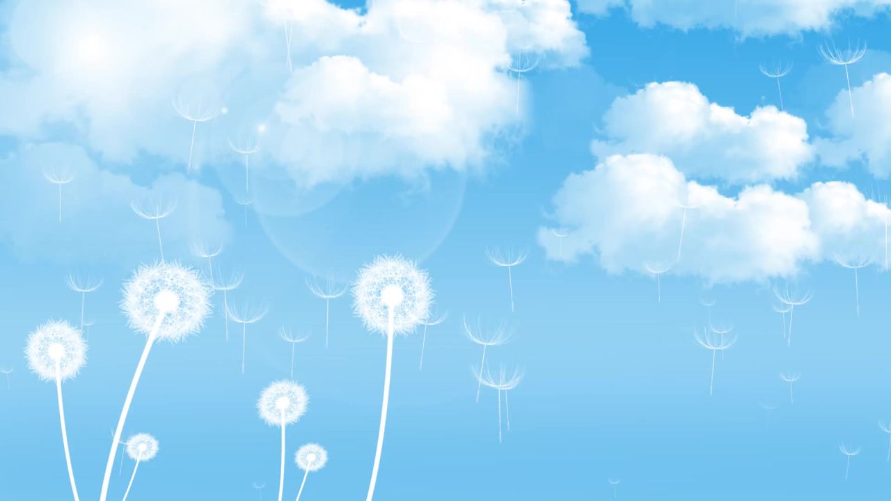 小清新蒲公英梦幻粒子led视频素材 23