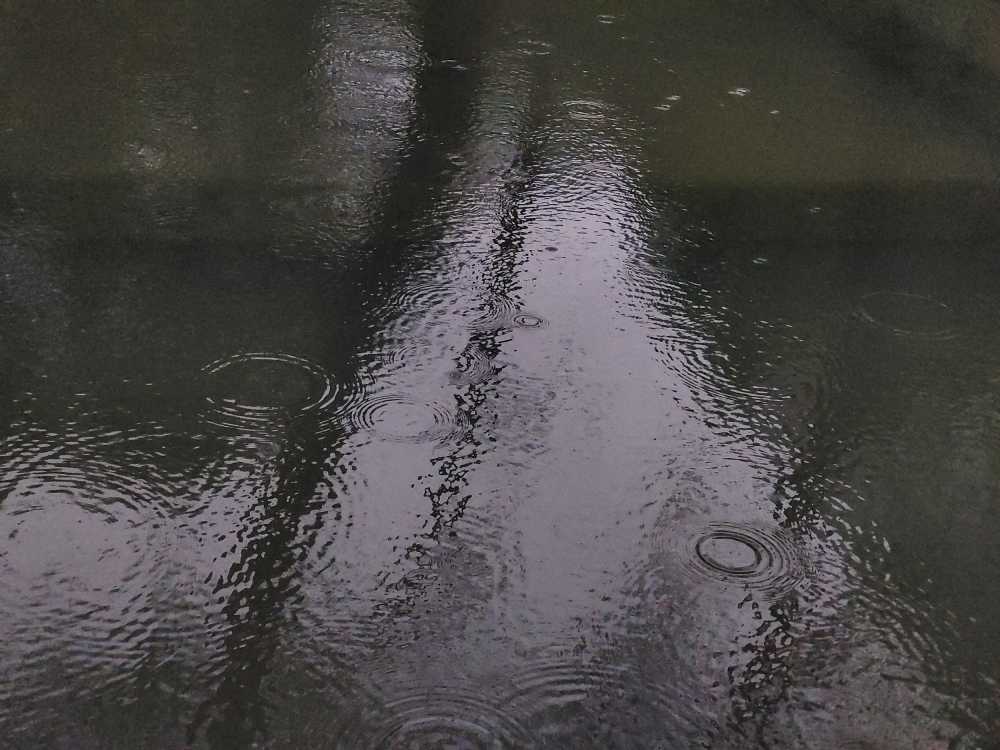 雨