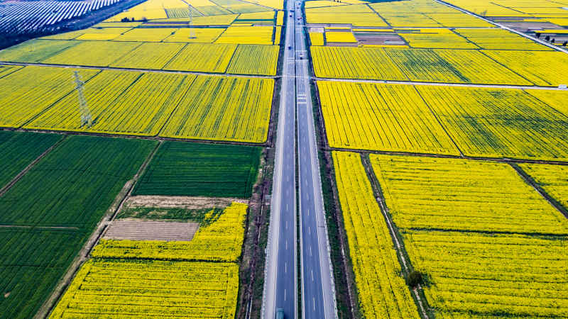 路