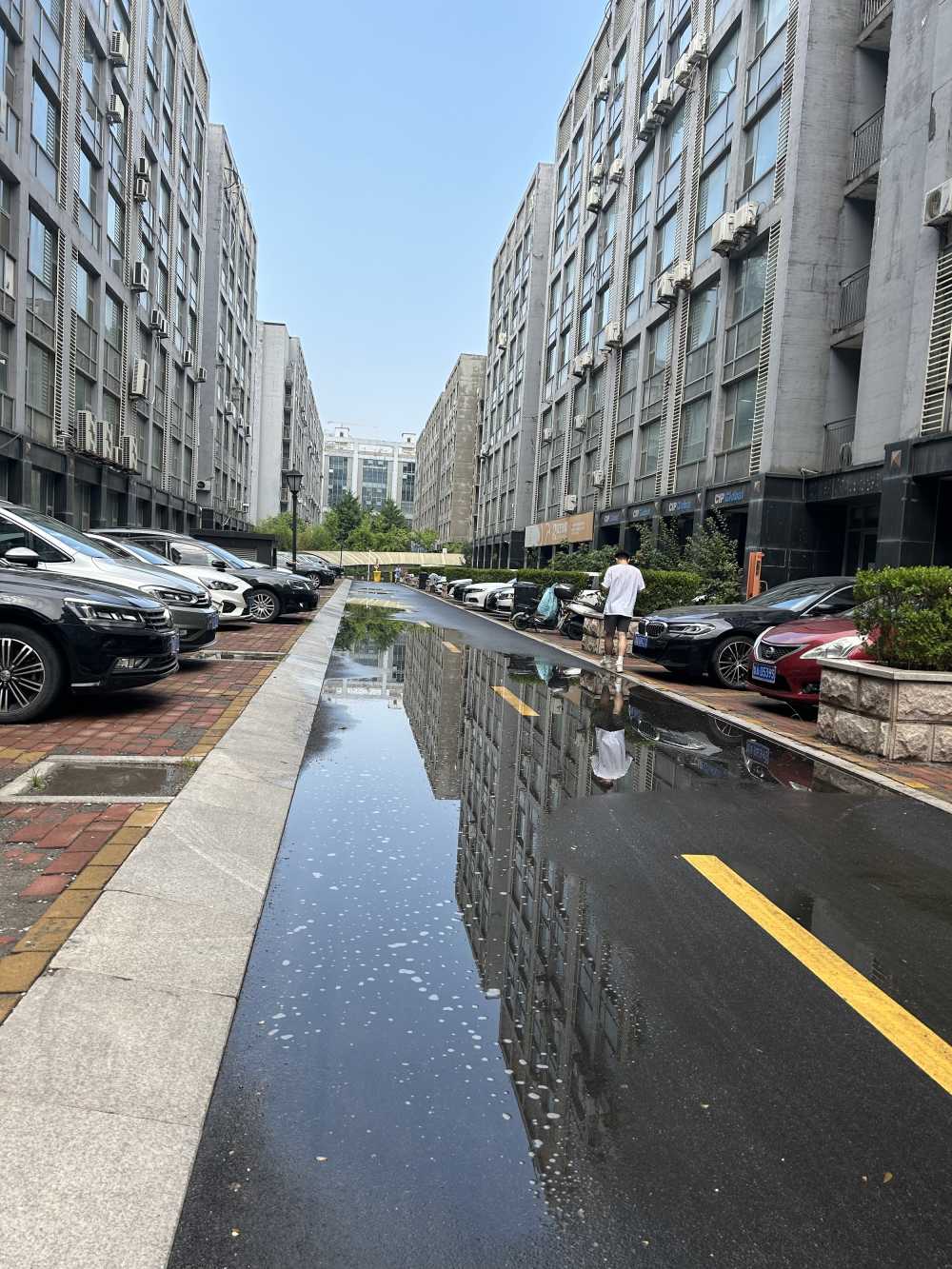 雨后的正反两个世界