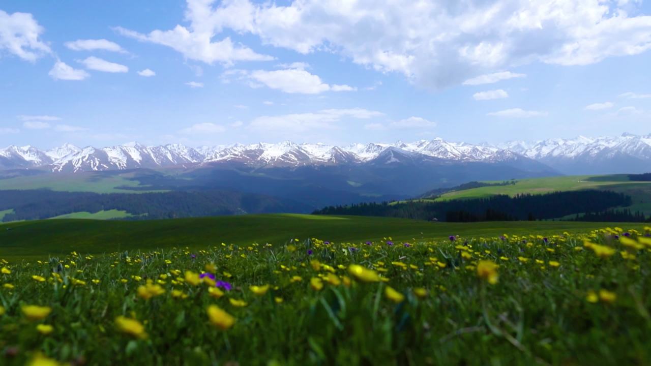 草原森林山脉自然风光