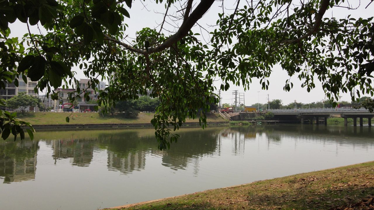 临高县文澜江航拍 3