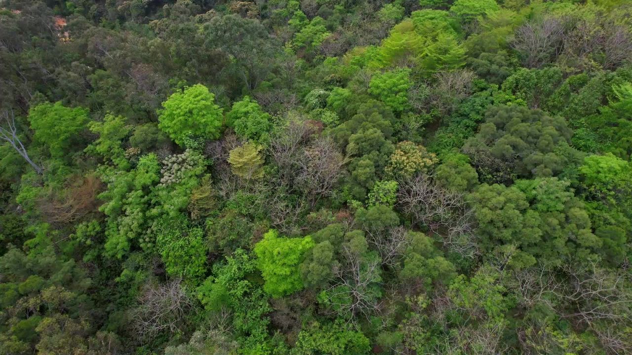 航拍绿色山林景观