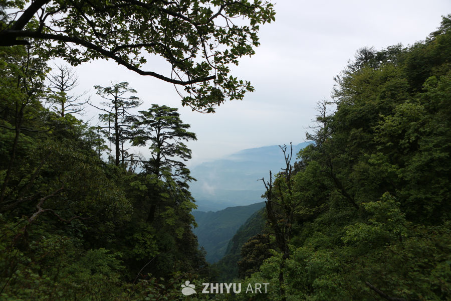 山间云海