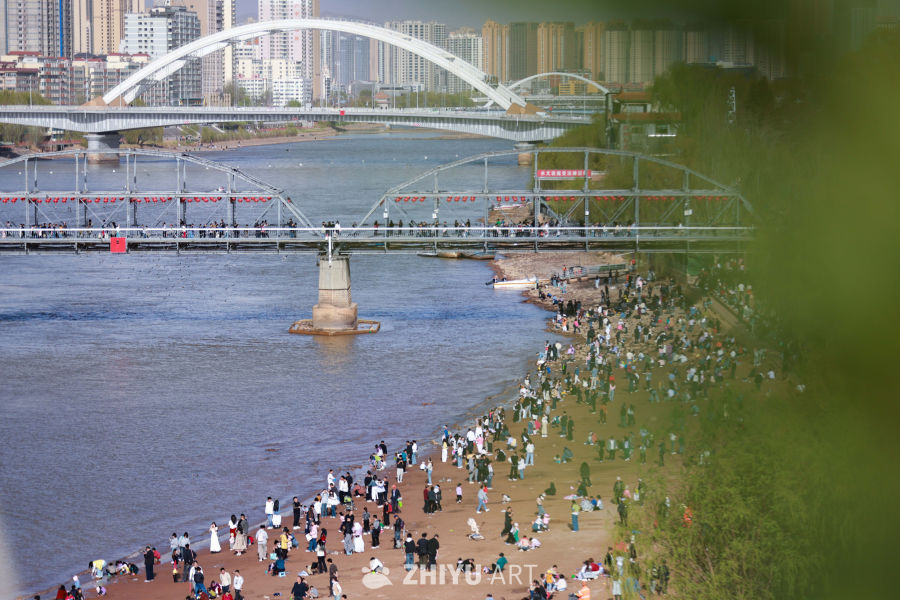 兰州黄河之滨绿意盎然春景如画 11