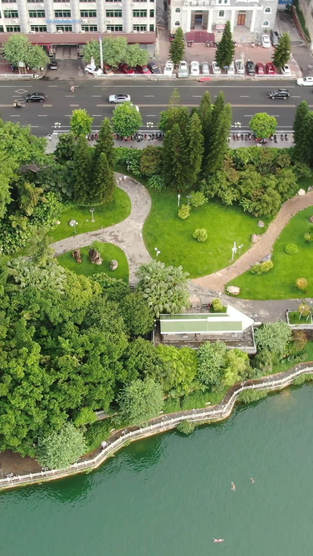湖畔绿意盎然的公园