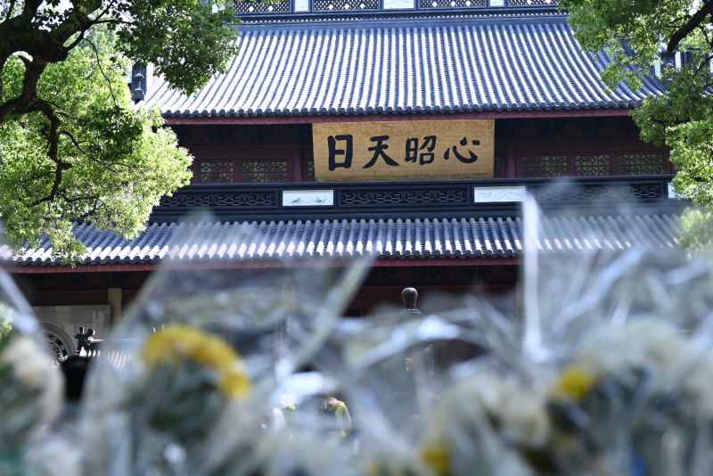 心昭天日