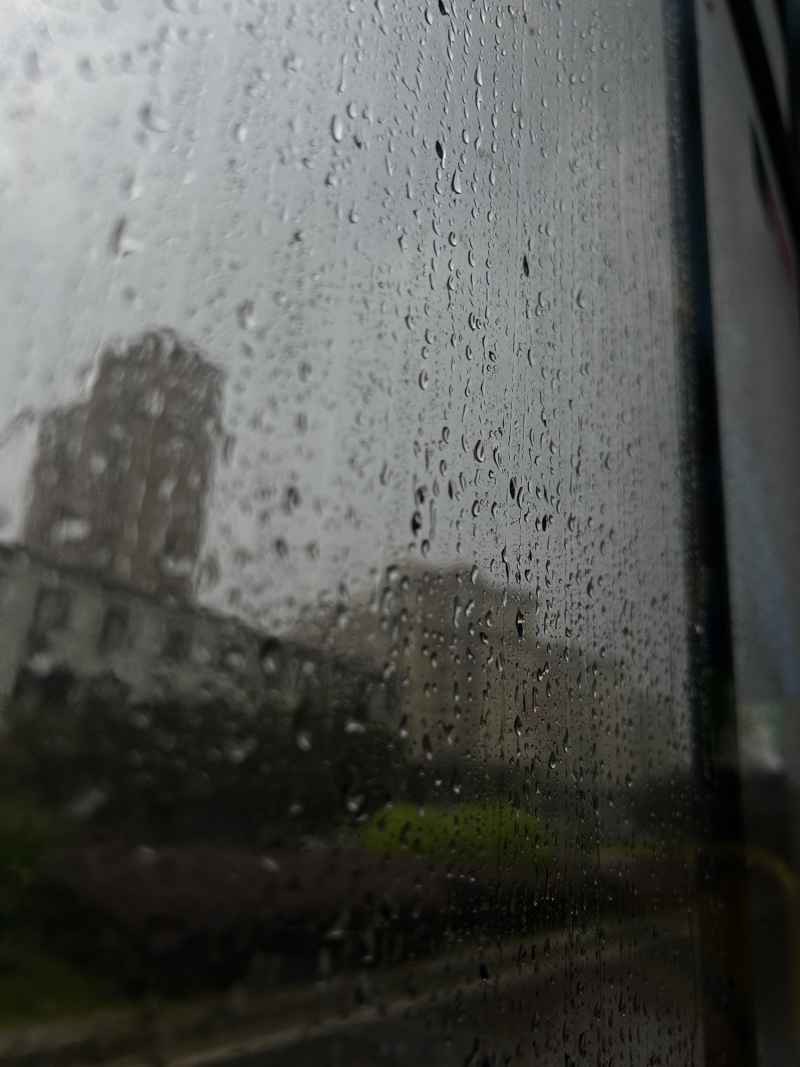 雨