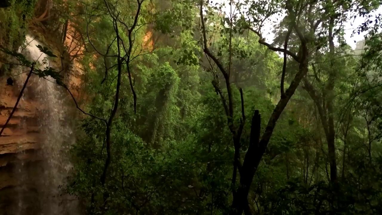 瀑布森林景观植被