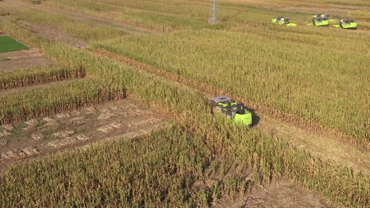 玉米地收割机
