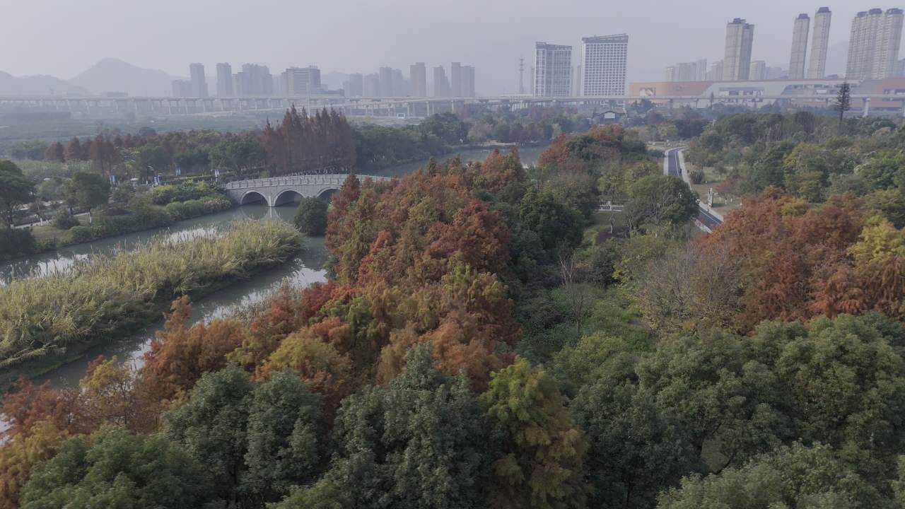 冬日的湿地 8