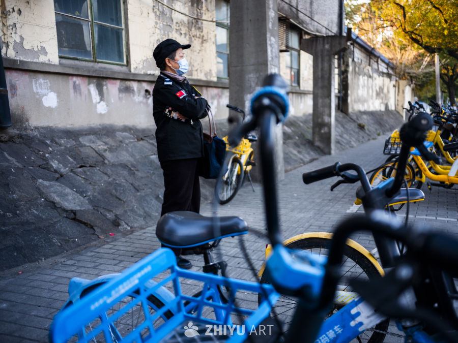 秋日街头的守护者