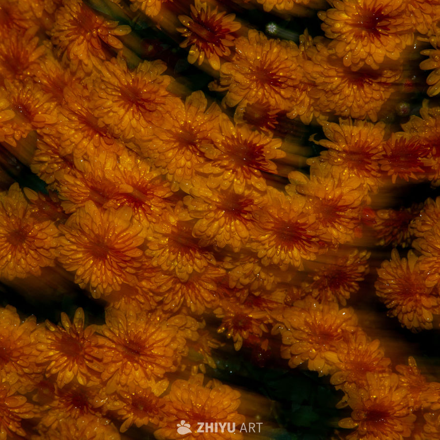 花 7