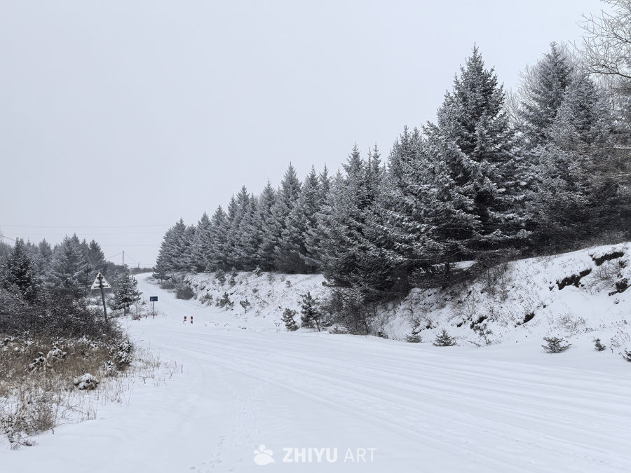 大西北农村雪景， 3