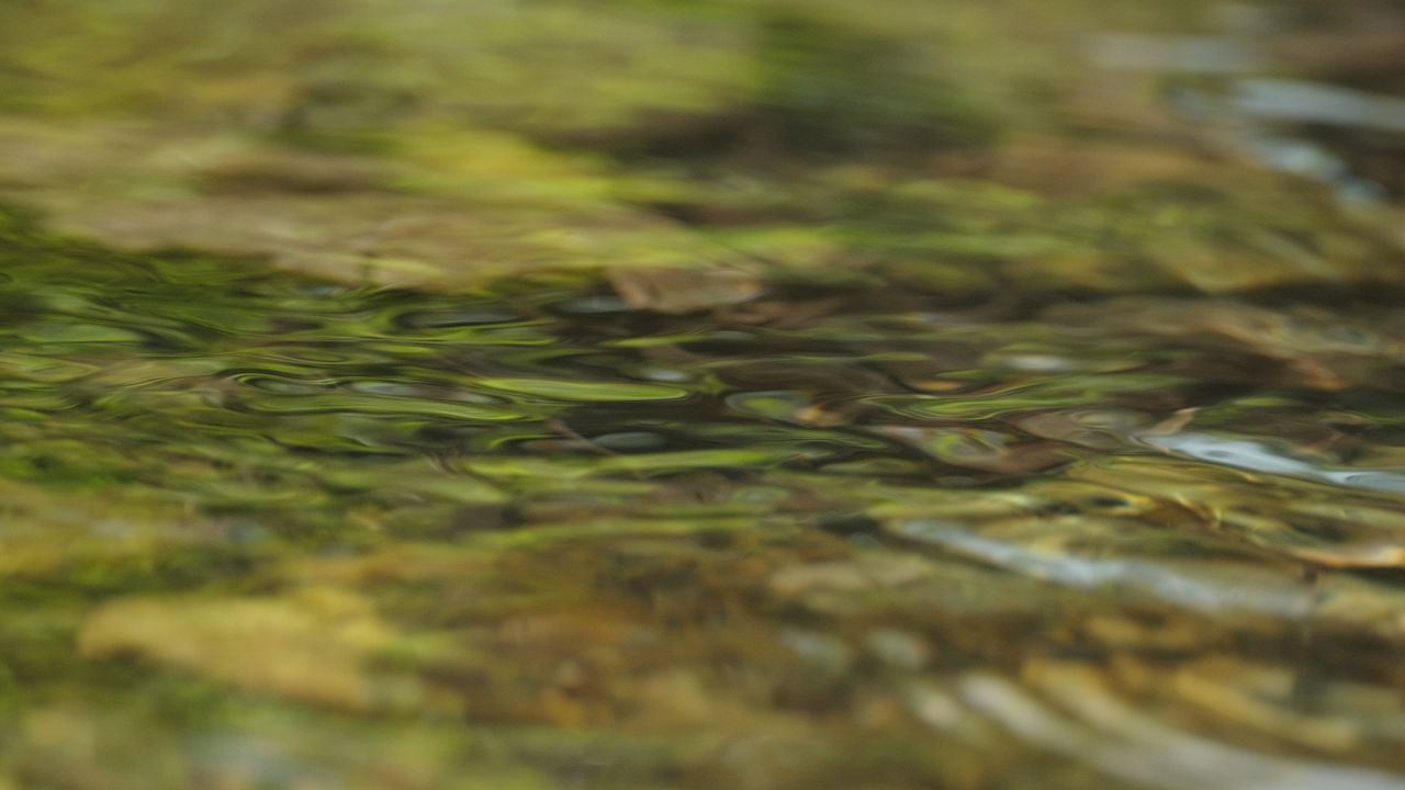 清澈山泉水温泉矿泉水小溪山涧 37