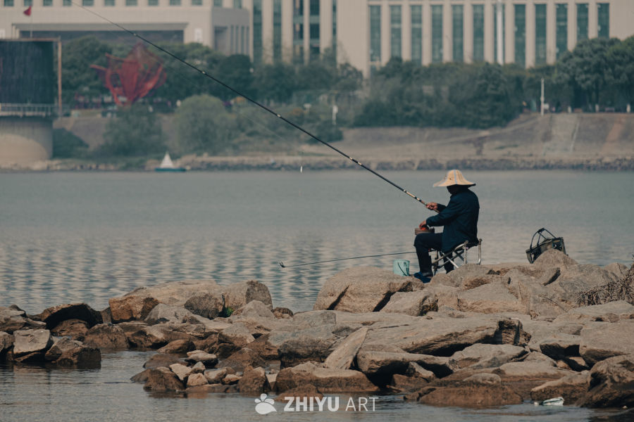 湖畔垂钓：城市的宁静角落