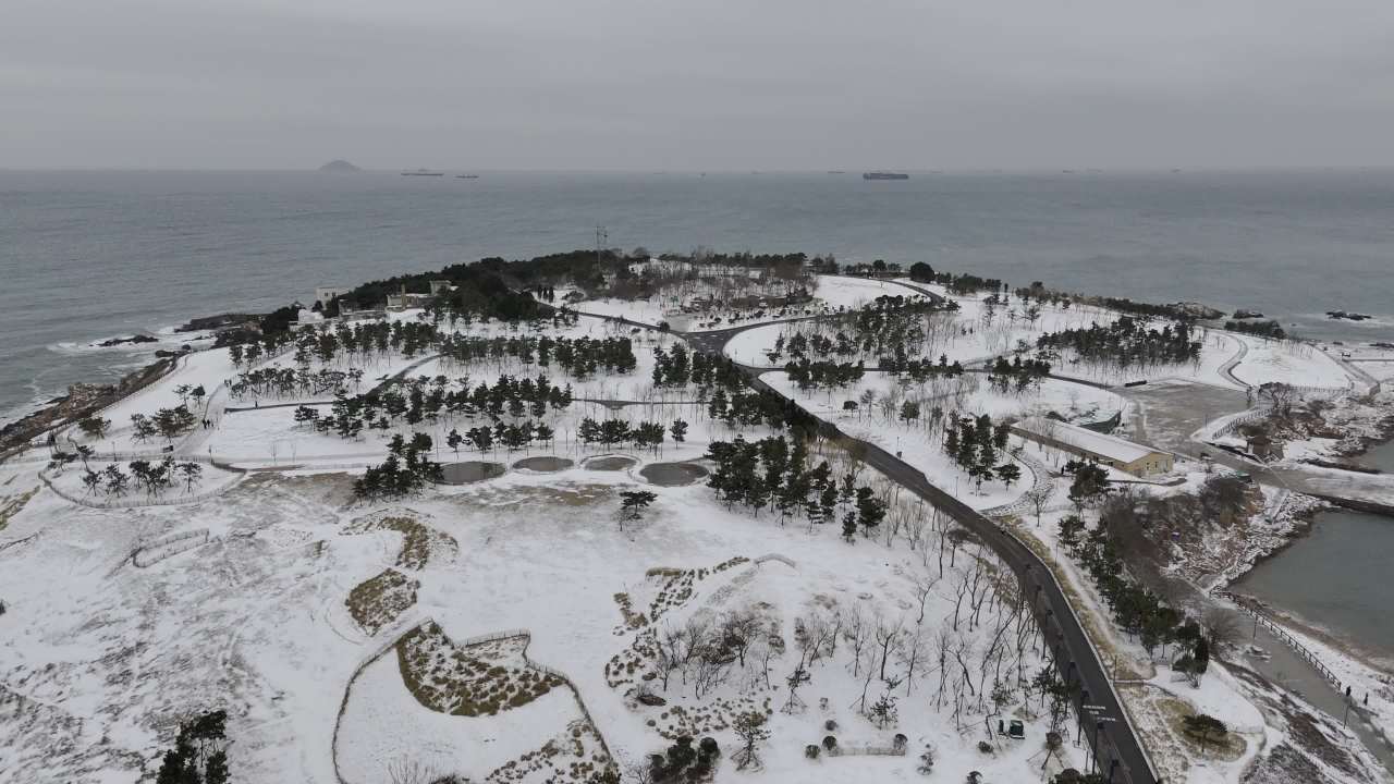 青岛小麦岛海边雪景航拍 14